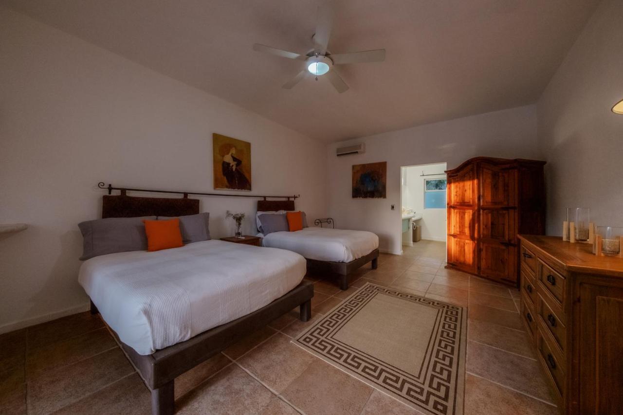 La Poza Boutique Hotel And Spa - Adults 15 Plus Todos Santos Exteriér fotografie