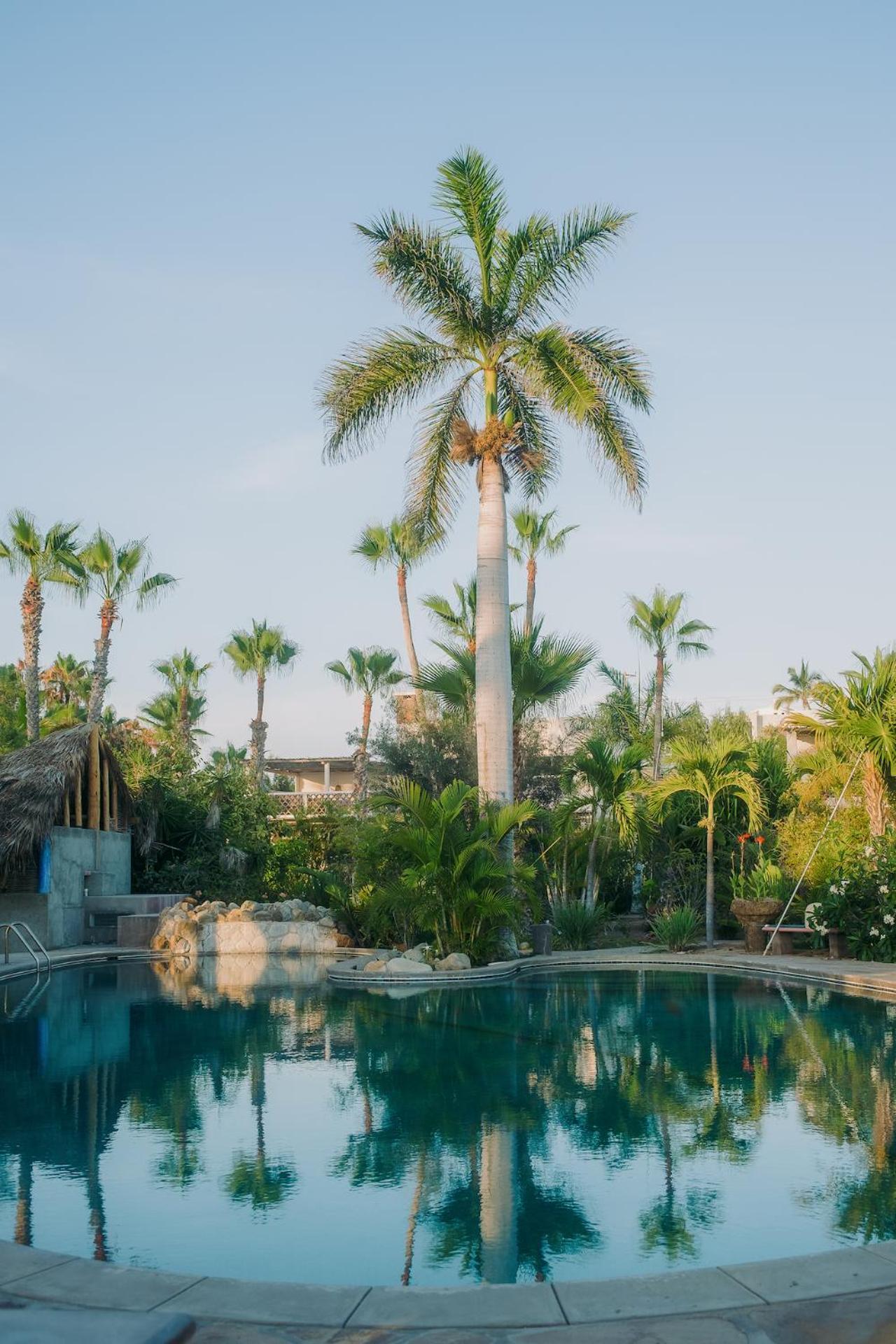 La Poza Boutique Hotel And Spa - Adults 15 Plus Todos Santos Exteriér fotografie