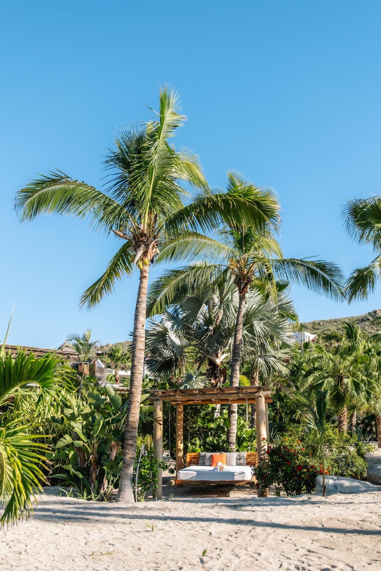 La Poza Boutique Hotel And Spa - Adults 15 Plus Todos Santos Exteriér fotografie